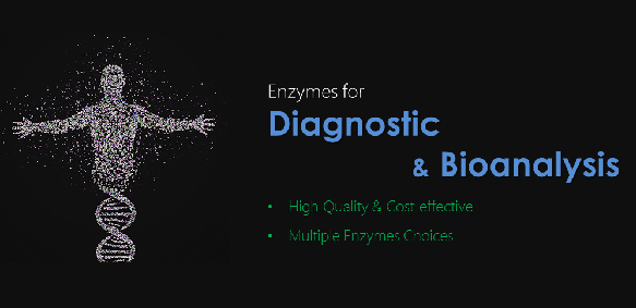 Enzyme für Diagnostik und Bioanalyse